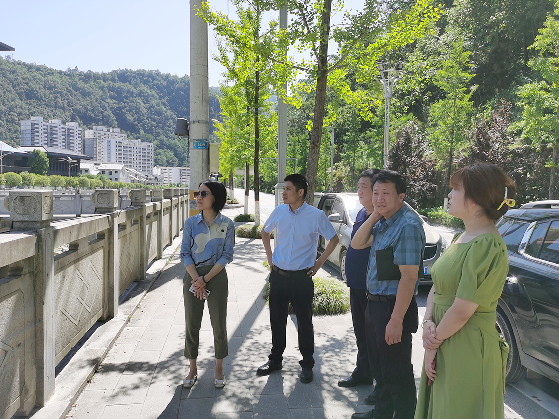 中金萬瑞專家團(tuán)隊赴商洛市鎮(zhèn)安縣開展全域項目庫建設(shè)開展調(diào)研活動