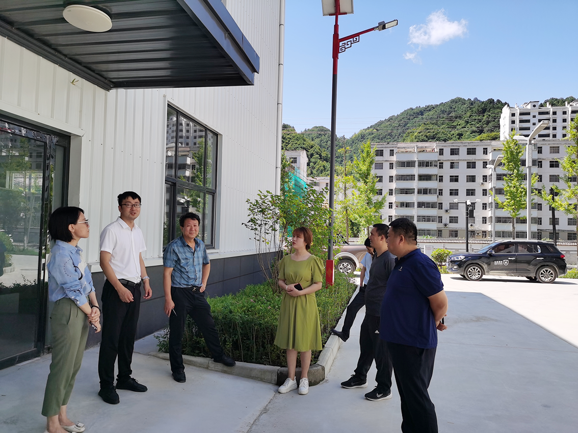 中金萬瑞專家團(tuán)隊赴商洛市鎮(zhèn)安縣開展全域項目庫建設(shè)開展調(diào)研活動