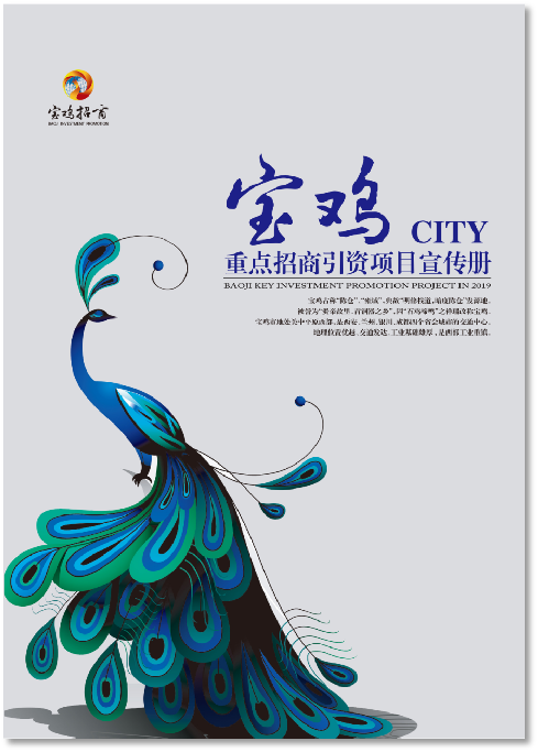 寶雞.png